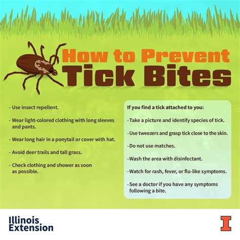 Allsup: How to prevent tick bites