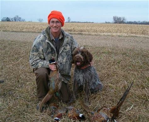 Dakotah Wirehaired Pointing Griffons | Hunting Dog Breeders