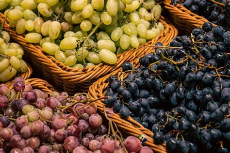 Perbedaan Warna pada Buah Anggur Merah, Hijau dan Ungu