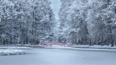 Brown Wooden House during Snow · Free Stock Photo