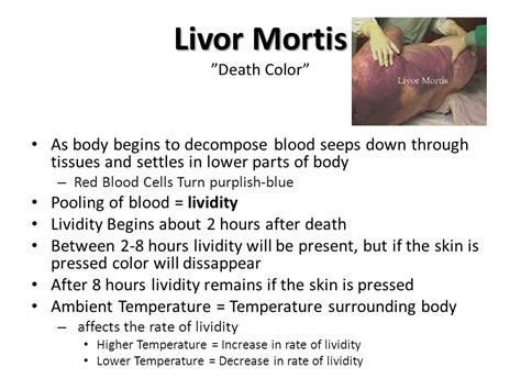 Livor Mortis Stages