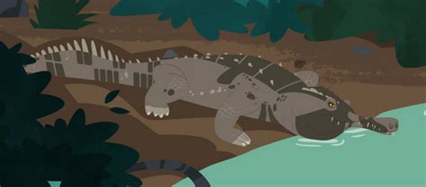 Image - Gharial.PNG - Wild Kratts Wiki