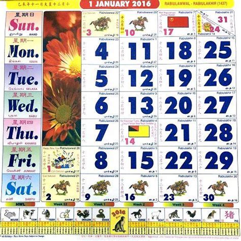 2024 Horse Racing Calendar Pdf - Jessy Lucinda