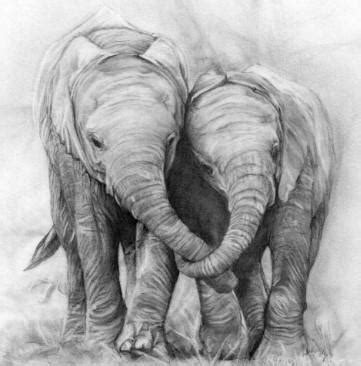 How To Draw Realistic Animals APK for Android Download