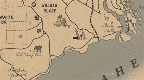 Legendary Giaguaro Panther Hunting Guide - RDR2.org