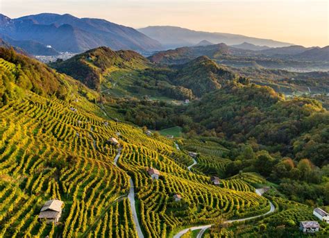 Alla scoperta dei tesori nascosti delle colline di Conegliano e Valdobbiadene - Visit Conegliano