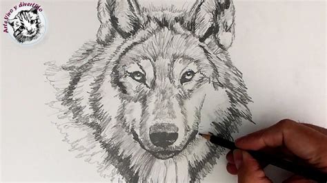 How To Draw A Wolf In Pencil Dibujos De Animales Dibujo Lobo | Images ...