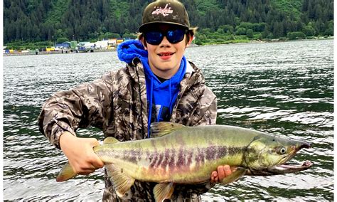 Juneau Fishing Report - 7/11/2024 - Alaska Fly Fishing Goods