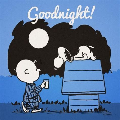 Snoopy And Charlie Good Night Quote Pictures, Photos, and Images for Facebook, Tumblr, Pinterest ...