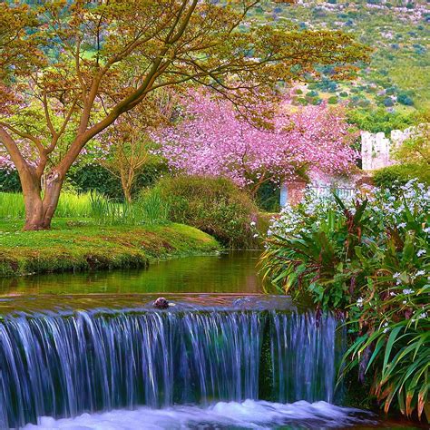 Spring Scenes Wallpapers - Wallpaper Cave