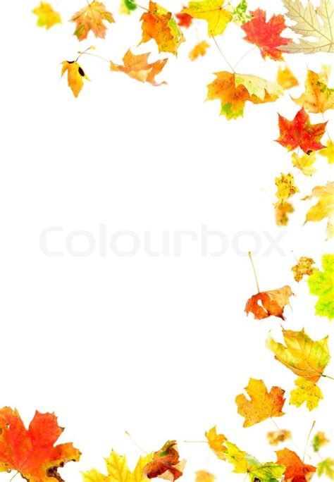 Autumn Leaves Frame | Stock image | Colourbox