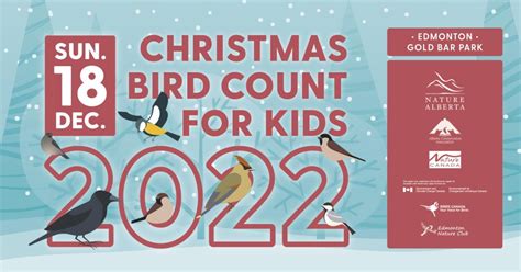 Christmas Bird Count for Kids – Edmonton 2022 - Nature Alberta