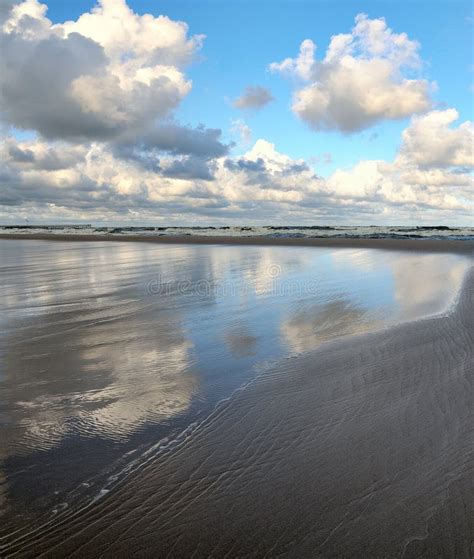 Baltic sea coastline. stock image. Image of lithuania - 21093487