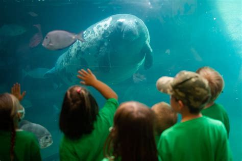 Columbus Zoo and Aquarium | Aquatic Facility in Ohio