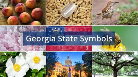 Learn What all the Georgia State Symbols are with our List and Table