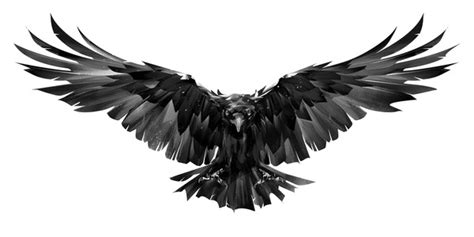 8+ Thousand Crow Tattoo Royalty-Free Images, Stock Photos & Pictures ...