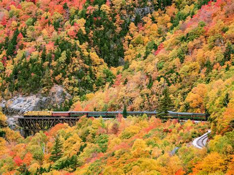 Amtrak Fall Sale: Plan a Leaf-Peeping Trip with These 50 Percent Off Fares | Condé Nast Traveler