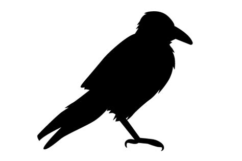 Raven Silhouette Sitting SVG Cut file by Creative Fabrica Crafts ...