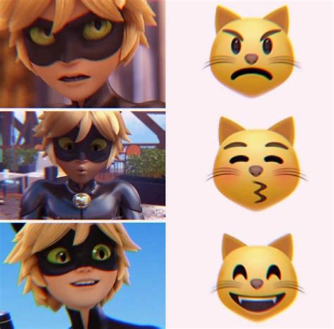 Cat Noir as emoji | Miraculous ladybug memes, Miraculous ladybug comic, Miraculous ladybug wallpaper