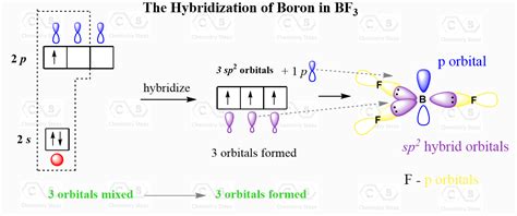 Hybridization Of Atomic Orbitals - vrogue.co