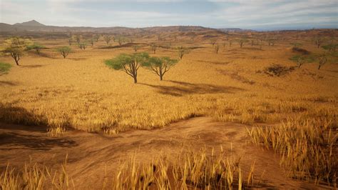 8K Savannah Landscape Pack in Environments - UE Marketplace