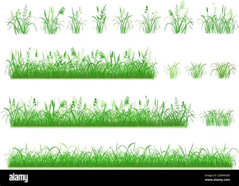 Compact grass tuft Stock Vector Images - Alamy