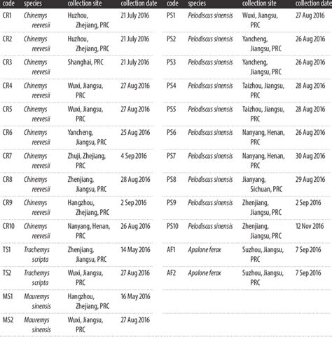 Testudinidae and Trionychidae species used in the study. | Download Table