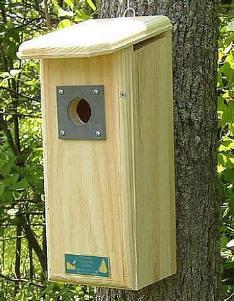 Conservation Downy Woodpecker House