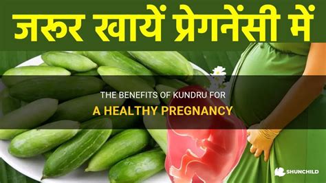 The Benefits Of Kundru For A Healthy Pregnancy | ShunChild