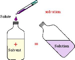 The secrets of solvation - PREVOR