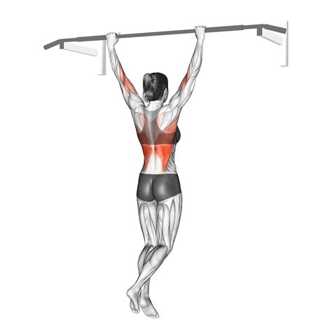 7 Best Pull-up Variations (with Pictures!) - Inspire US