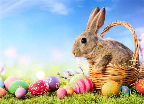 Where did the Easter Bunny and Easter eggs come from? - Interesting Answers