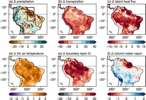 Amazon Rainforest Climate And Weather Prediction - Tilda Gilberta