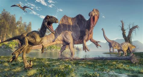 Spinosaurus: Steckbrief + 8 Merkmale des Dinosauriers » schreiben.net