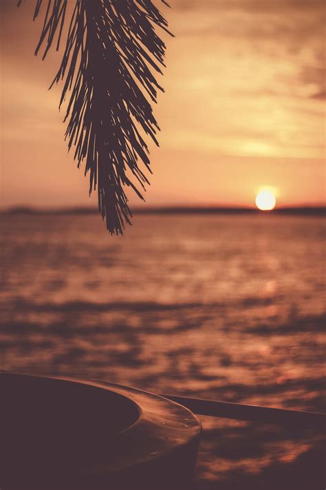 Sunset Wallpapers: Free HD Download [500+ HQ] | Unsplash