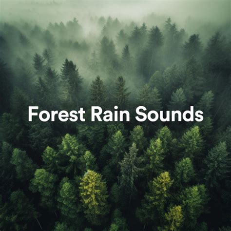 Stream Tropical Rainforest Sounds by Nature Sounds | Listen online for free on SoundCloud