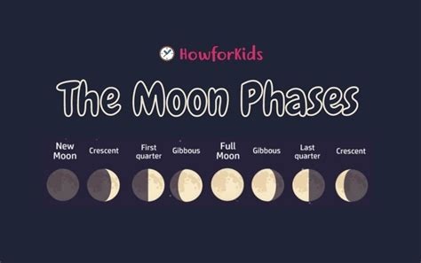 The Phases of the Moon for Kids – HowForKids