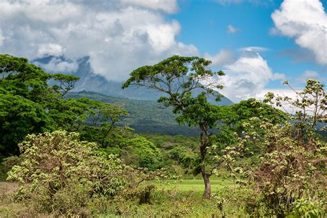 Nature by Nat Photography - Arusha National Park