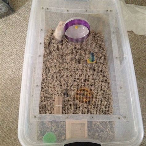 DIY hamster cage. Made from large plastic bin. Much more affordable than a large aquarium ...