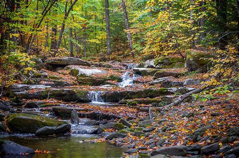 Catskills Fall Foliage Calendar - Amelie Marylee