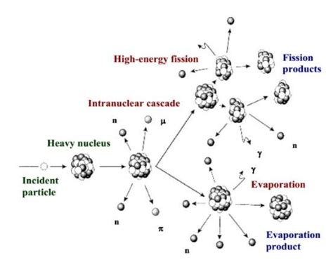 The scheme of spallation reaction[6]. | Download Scientific Diagram