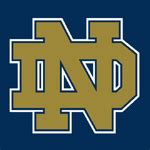 Notre Dame Fighting Irish - The Draft Review