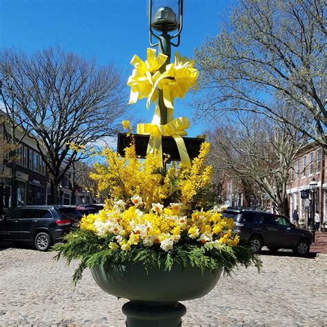 Daffodil Festival - Daffodil Festival Nantucket