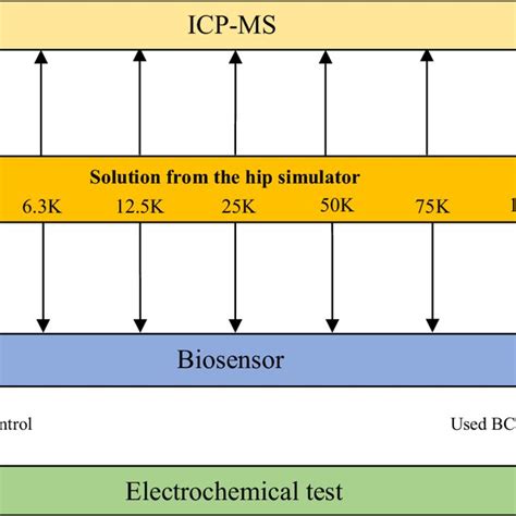 Study design: Schematic diagram of the study design; Study 1: proof of ...