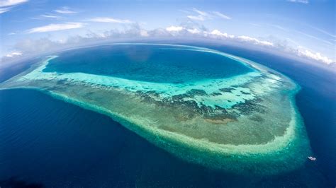 Scuba Diving in Tubbataha | ZuBlu