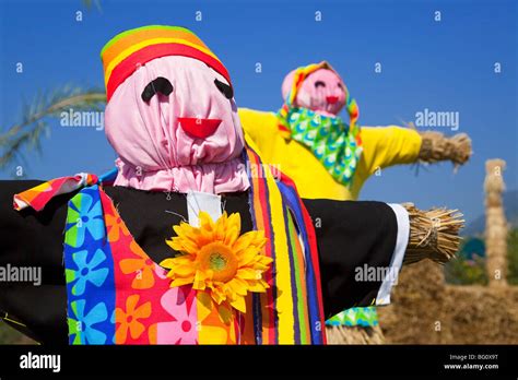 Sunflower scarecrow hi-res stock photography and images - Alamy