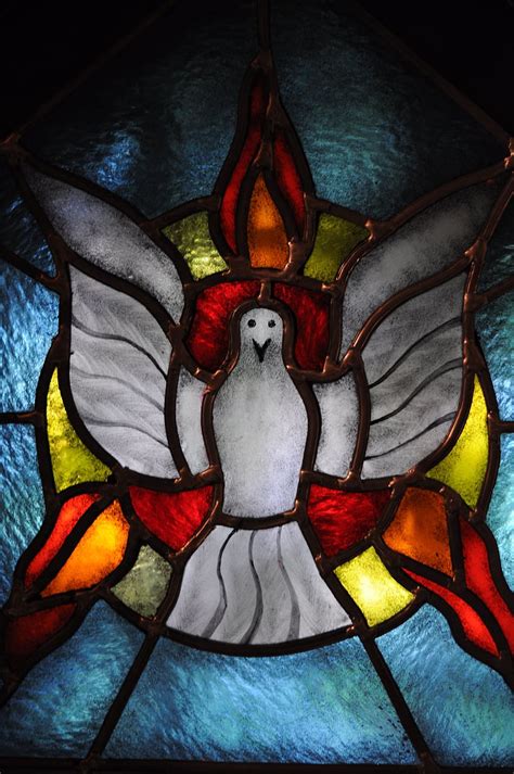 white, red, bird, stained, glass, tiffany glass, the holy spirit, dove, church, stained glass ...