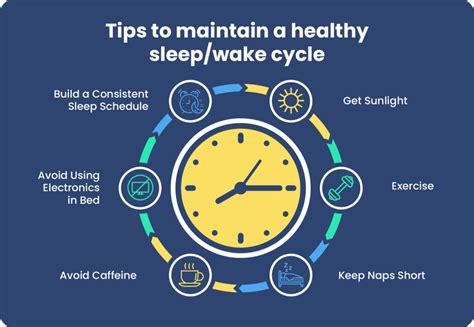 What Is Circadian Rhythm?