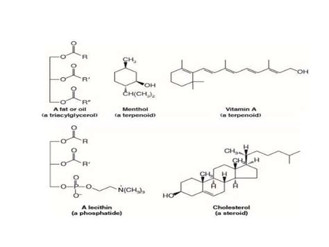 [Organic Chemistry II] Lipids