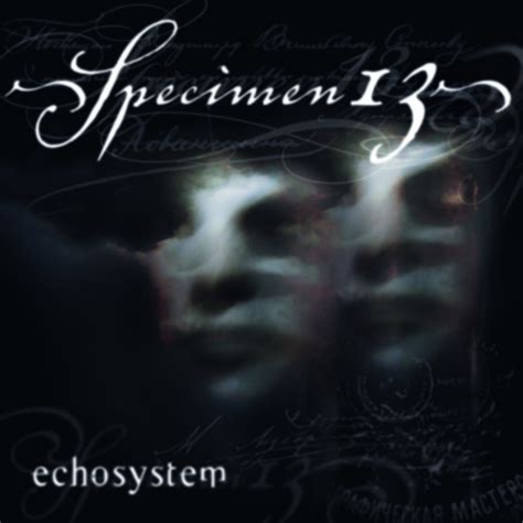 Echosystem | Specimen13